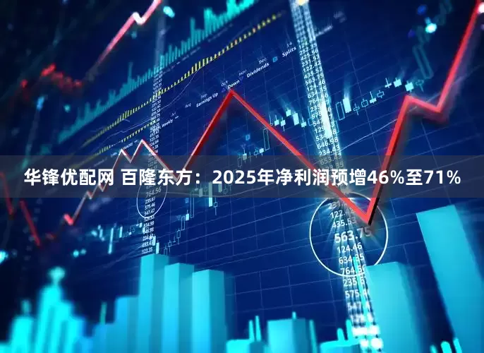 华锋优配网 百隆东方：2025年净利润预增46%至71%