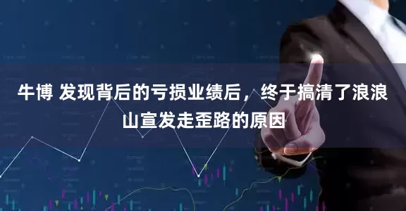 牛博 发现背后的亏损业绩后，终于搞清了浪浪山宣发走歪路的原因